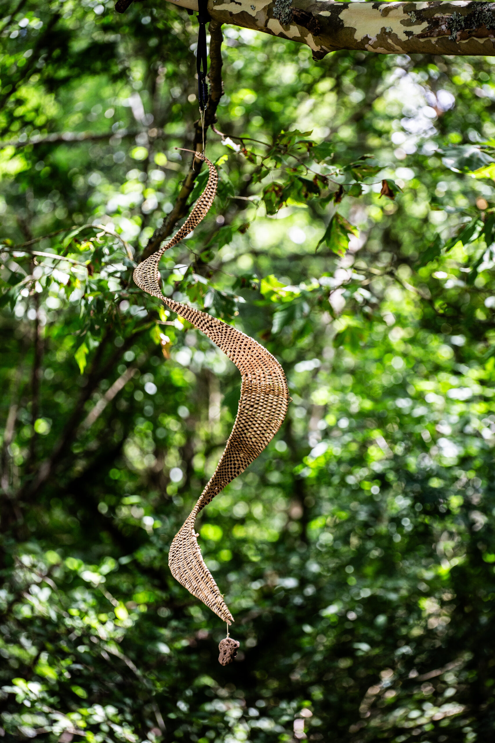 Une sculpture en osier est suspendue en spirale à une branche d'arbre - un spectacle en plein air - au milieu d'un feuillage forestier éclairé par le soleil et de feuilles vertes luxuriantes à l'arrière-plan.