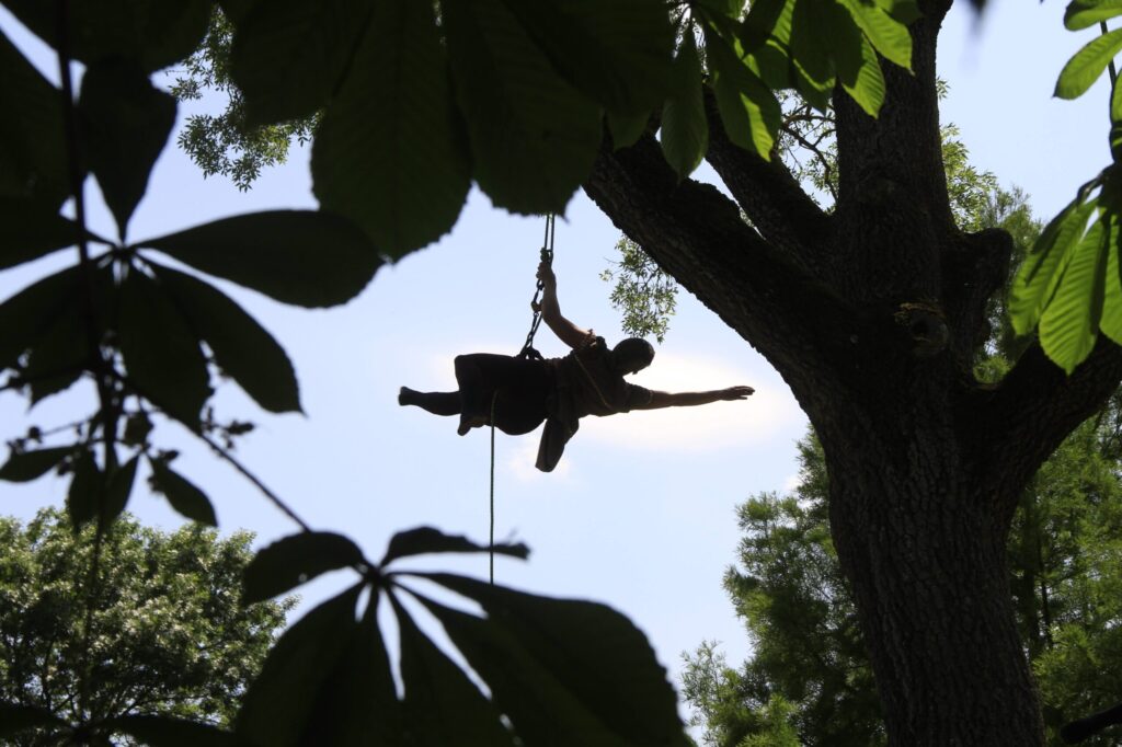 Une personne danse dans l'arbre, suspendue horizontalement à une corde attachée à un arbre, entourée de grandes feuilles, avec le ciel en arrière-plan.