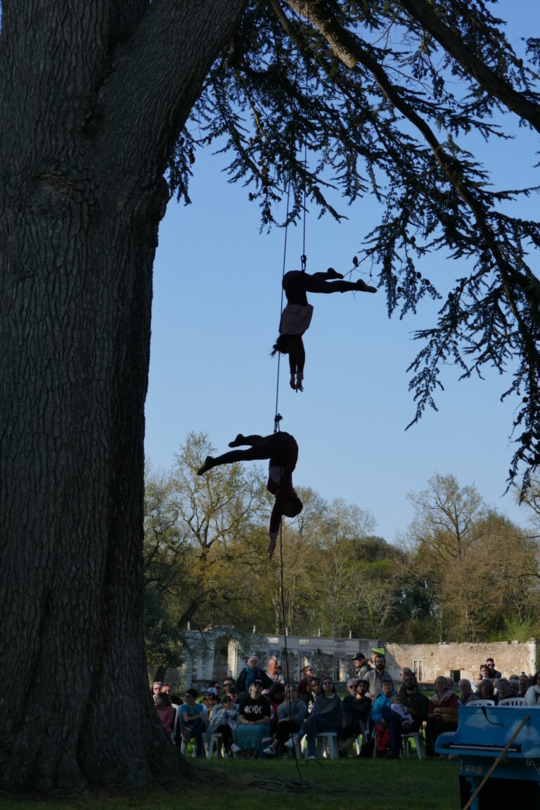 Deux artistes aériens créent un spectacle de danse encordée époustouflant en plein air, suspendus la tête en bas à des cordes attachées à un grand arbre, sous les yeux d'un public pendant la journée, spectacle outdoor.