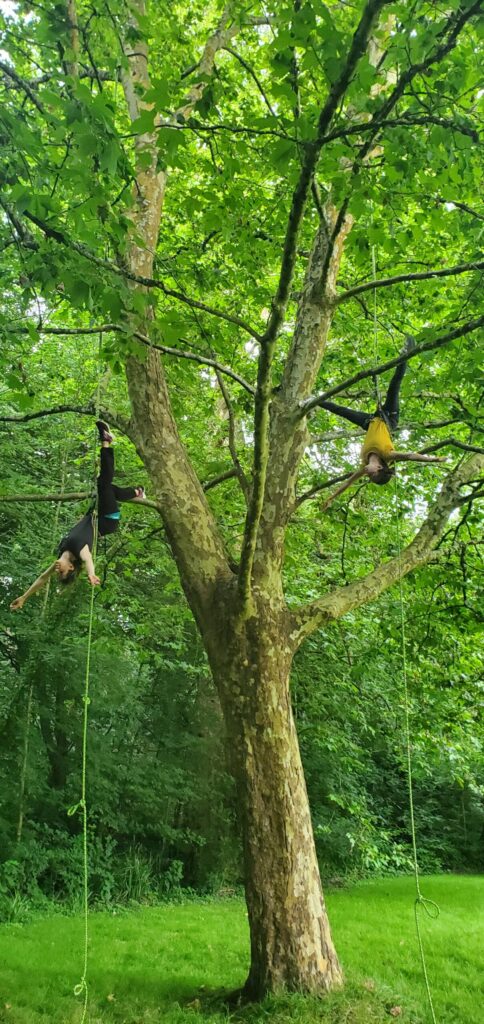 Deux personnes exécutent une danse amateur, suspendues à des cordes attachées aux branches d'un grand arbre dans une zone verte et boisée. L'un est suspendu la tête en bas tandis que l'autre tend un bras vers l'extérieur.