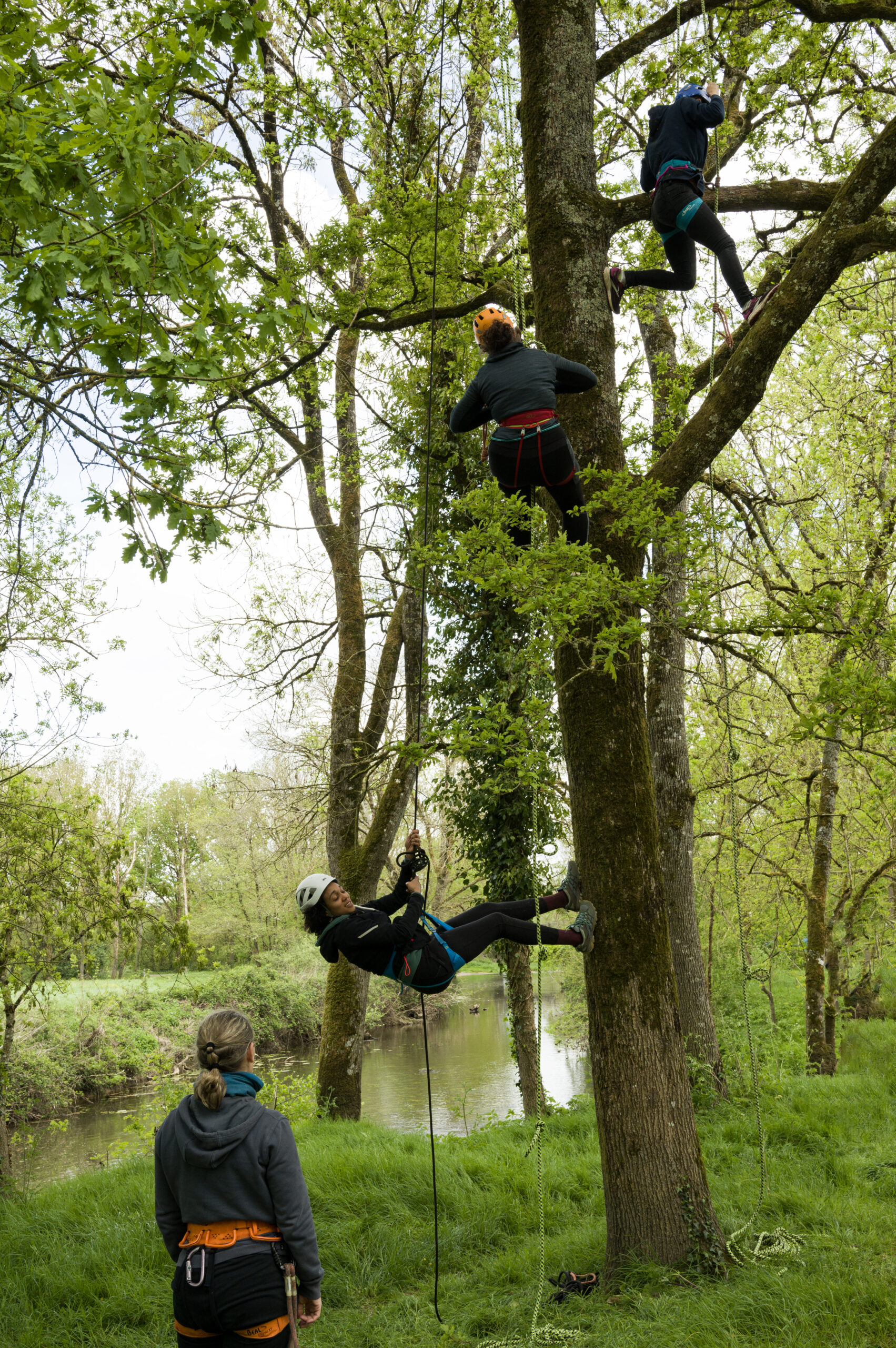 Quatre personnes ont participé à une activité d'accrobranche lors d'un événement de team building sémianaire dans une zone boisée près d'un ruisseau, en utilisant des cordes et des harnais pour la sécurité.