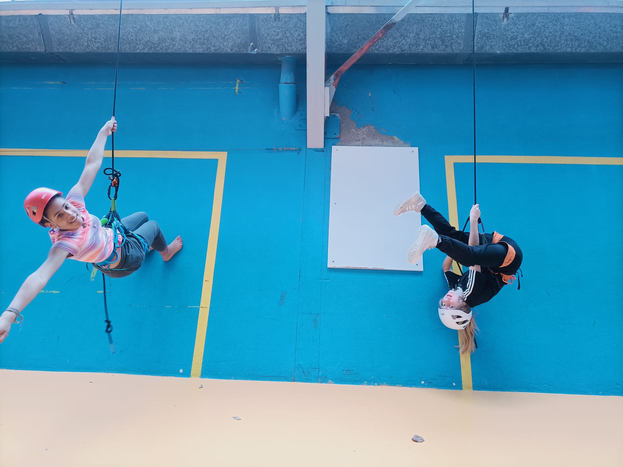 Deux personnes portant des casques et des harnais sont suspendues à des cordes contre un mur d'escalade intérieur bleu au gymnase, l'une à la verticale et l'autre à l'envers, mêlant des éléments de danse et d'escalade.
