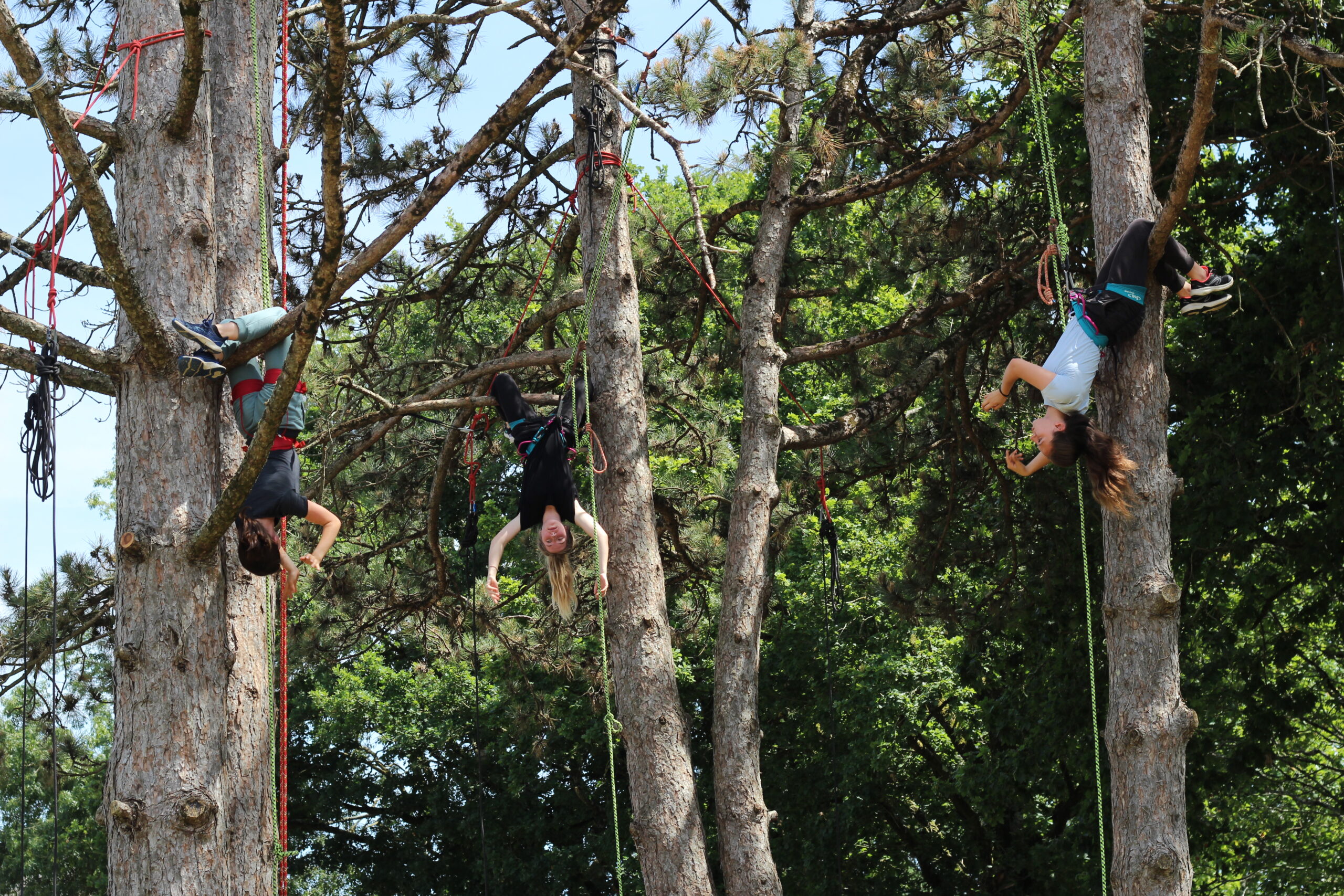 Trois personnes harnachées se suspendent à des cordes sur de grands arbres dans un cadre extérieur au feuillage vert, création organisée par un établissement scolaire.