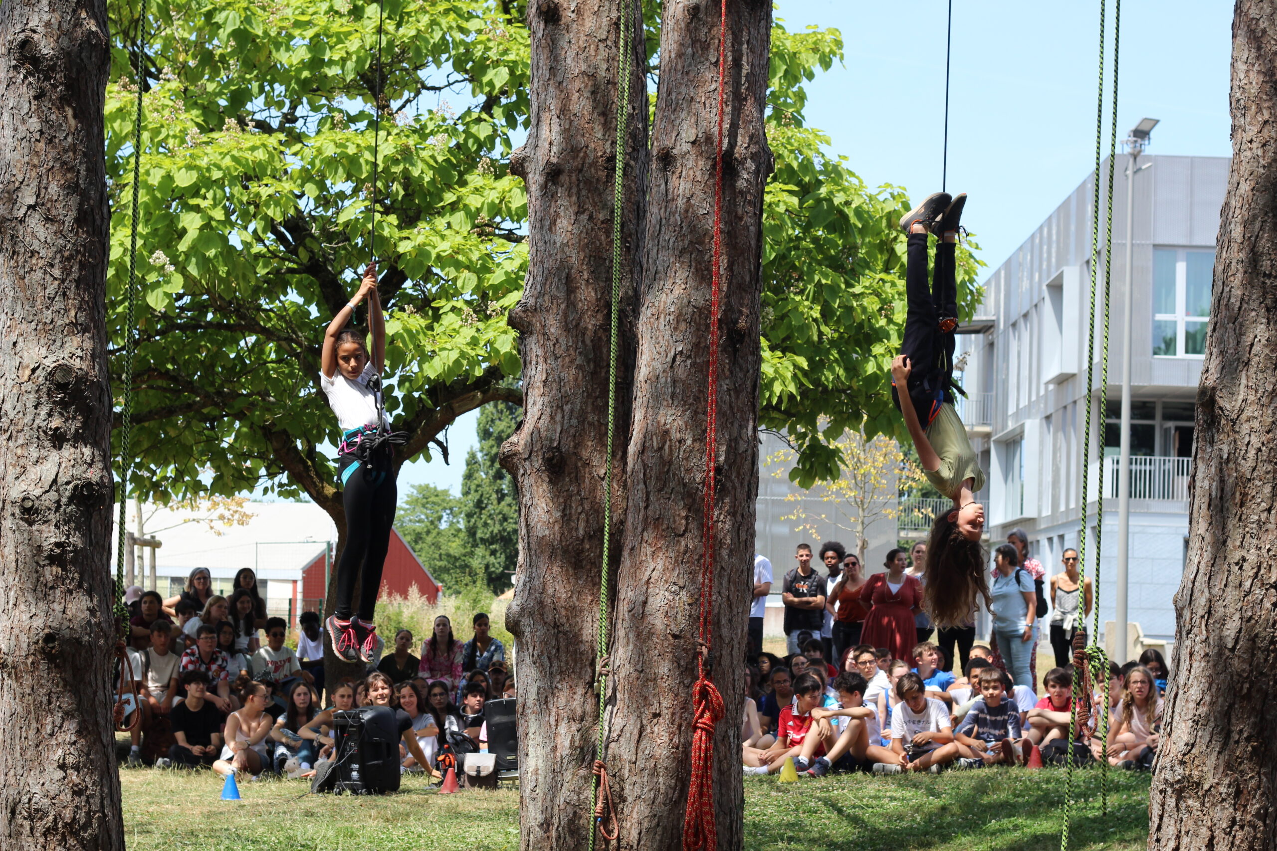 Deux personnes exécutent une danse acrobatique suspendue à des cordes tendues entre des arbres, captivant un public assis en plein air par une journée ensoleillée.