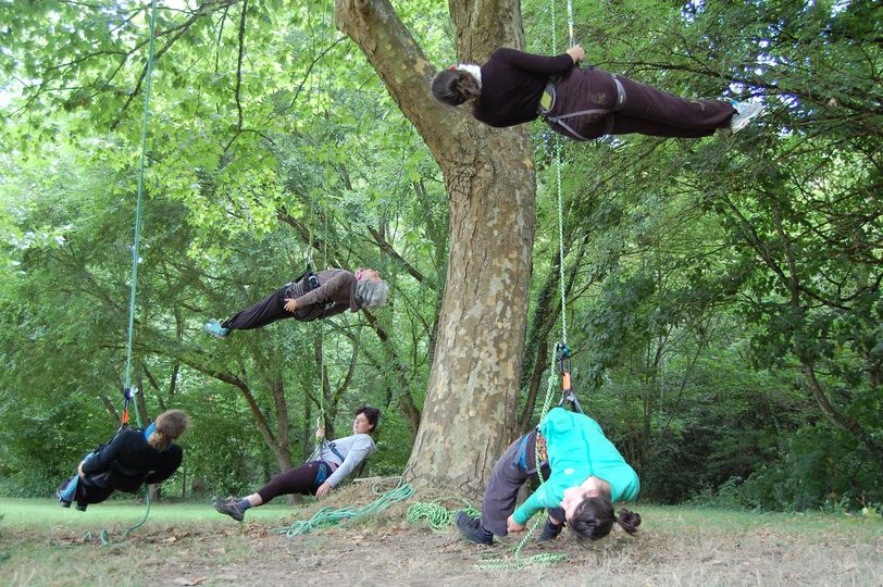 Quatre personnes sont suspendues horizontalement à des cordes attachées à un arbre dans un espace vert et boisé, s'engageant dans une activité aérienne parfaite pour le team building ou une expérience de séminaire unique.
