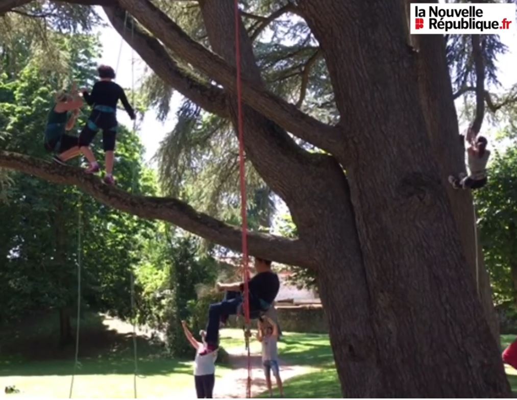 Plusieurs personnes, dont des enfants et des adultes, participent à une activité d'accrobranche à l'aide de cordes et de harnais dans un parc. Le logo la Nouvelle République.fr est visible dans le coin supérieur droit.