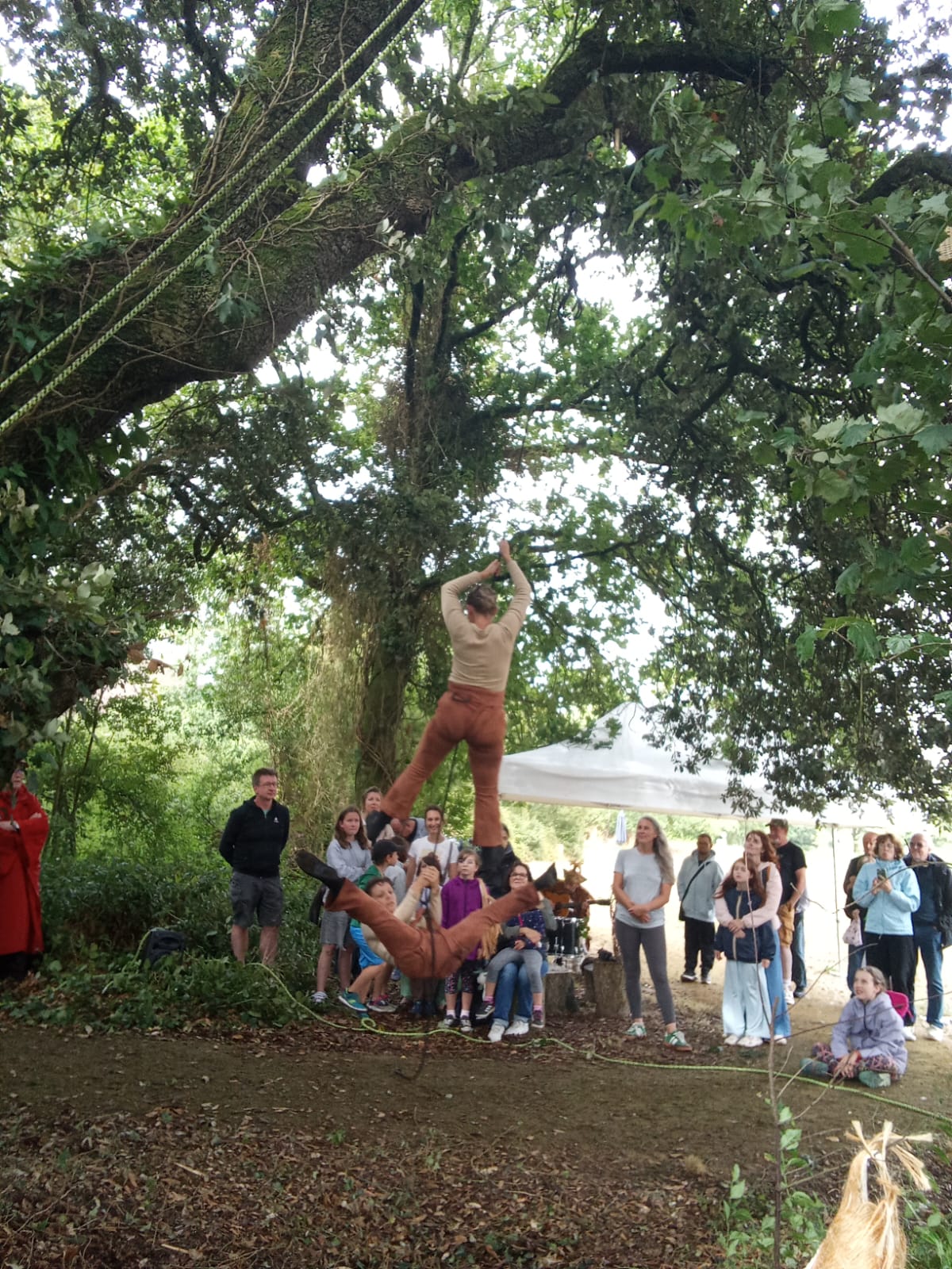 deux danseuses aériennes suspendue à un chêne font une performance artistique de rue devant un public familiale