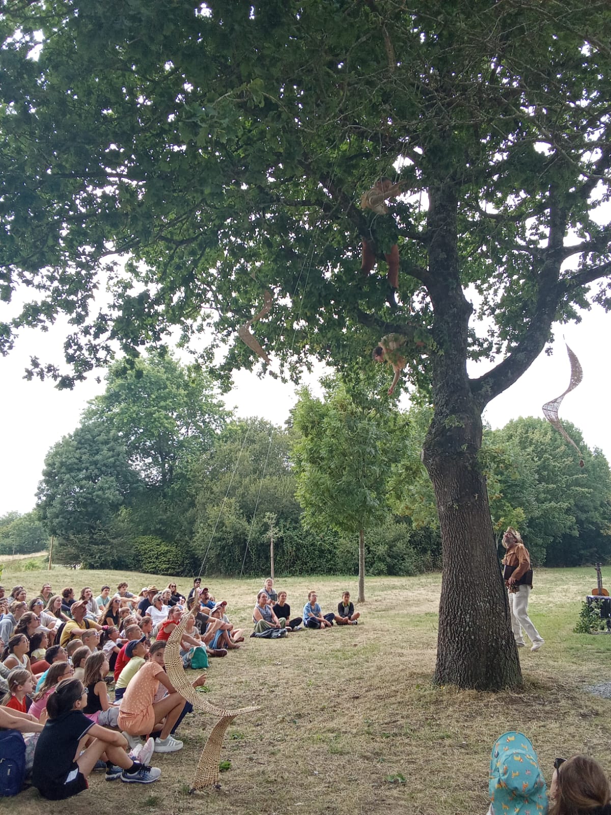 un musicien au pied d'un arbre regarde les danseuses aériennes qui évoluent au dessus de lui. Le public est en cercle dans un espace vert et regarde le spectacle aérien.